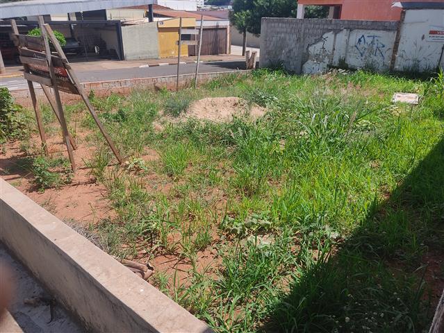 Foto 2 - TERRENO CIAL
